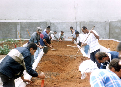Curso de jardineiro