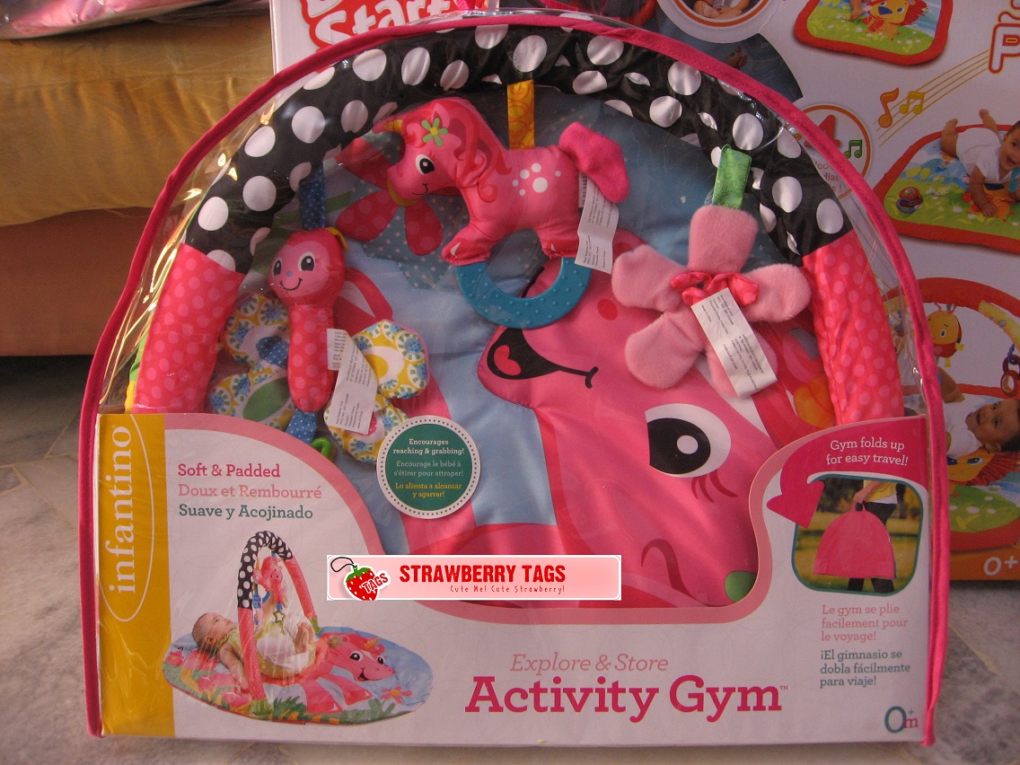 explore and store activity gym