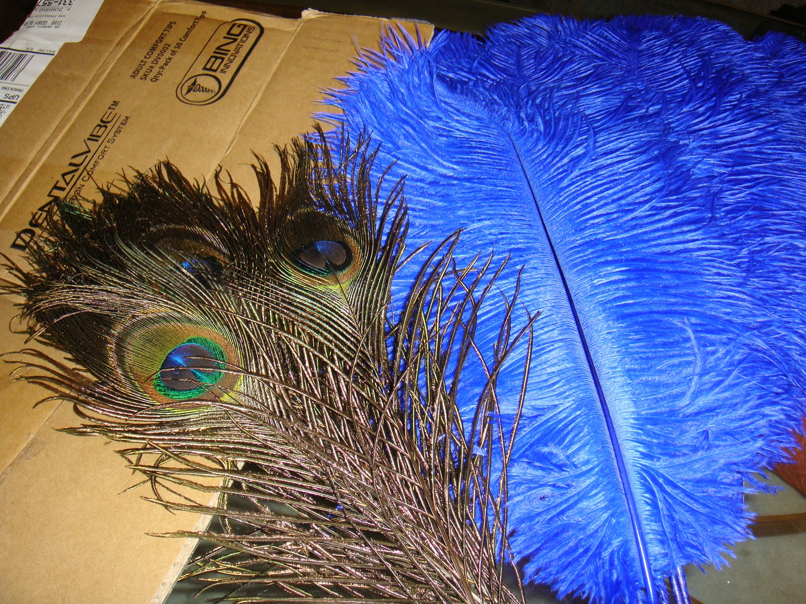 Traveling into the World of Burlesque How to Make Feather Fans
