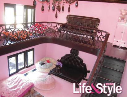 New Home Design Luxury Pet Bed Designs And Models