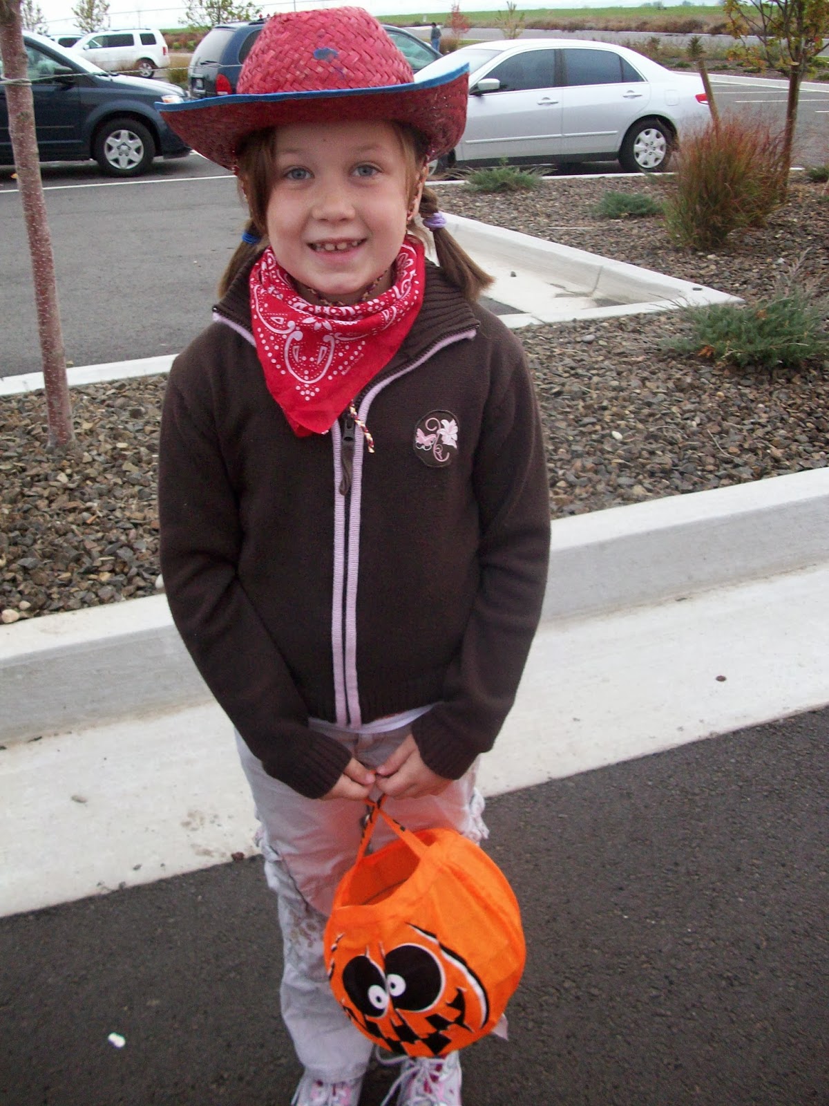 BigFamiliesBigIdeas Five Minute Halloween Costumes