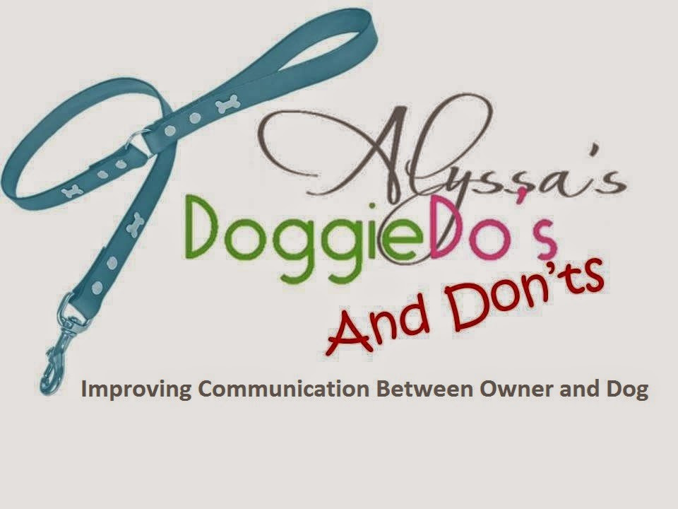 Improving Communication Between Dog and Owner