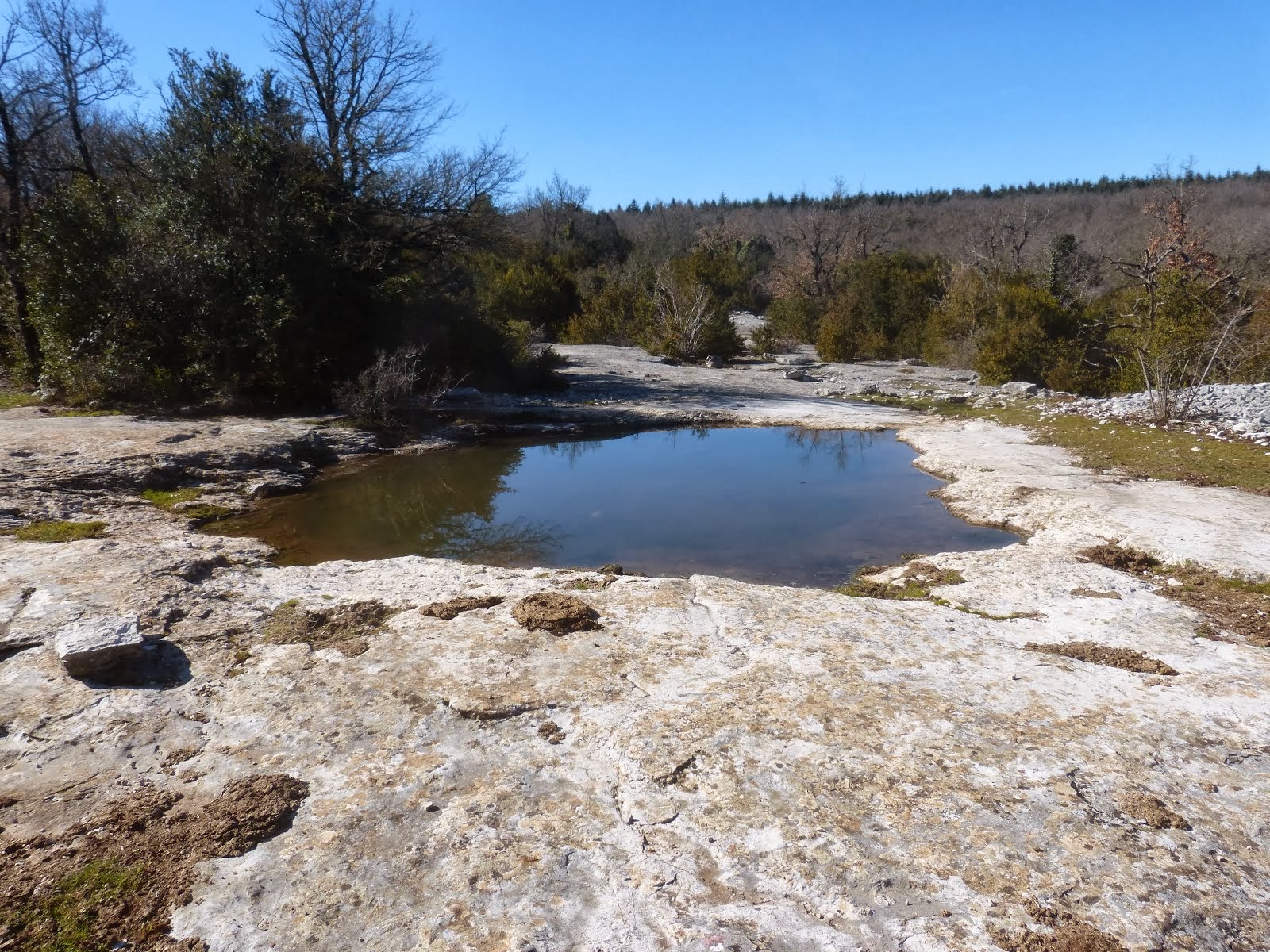 Lo laquet de la Fada