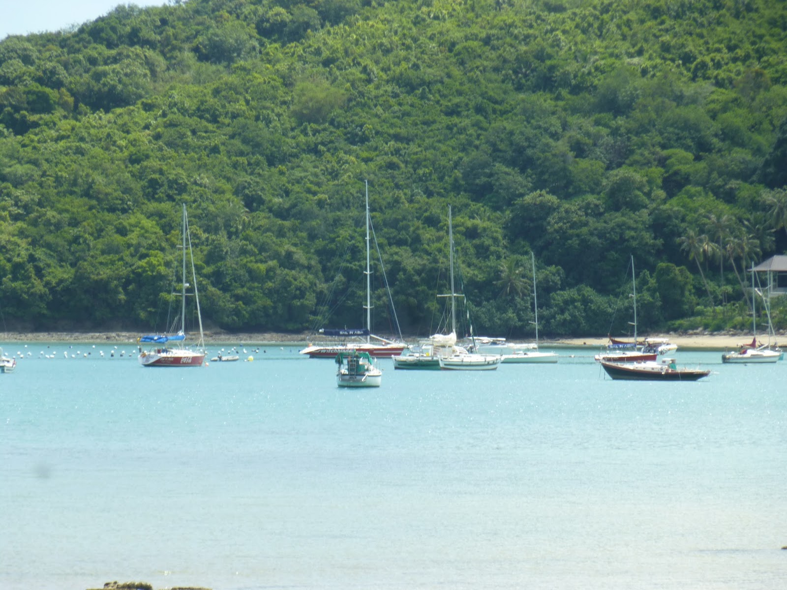 Fish Tank, Brighton Seafood Restaurant Menu, Phone