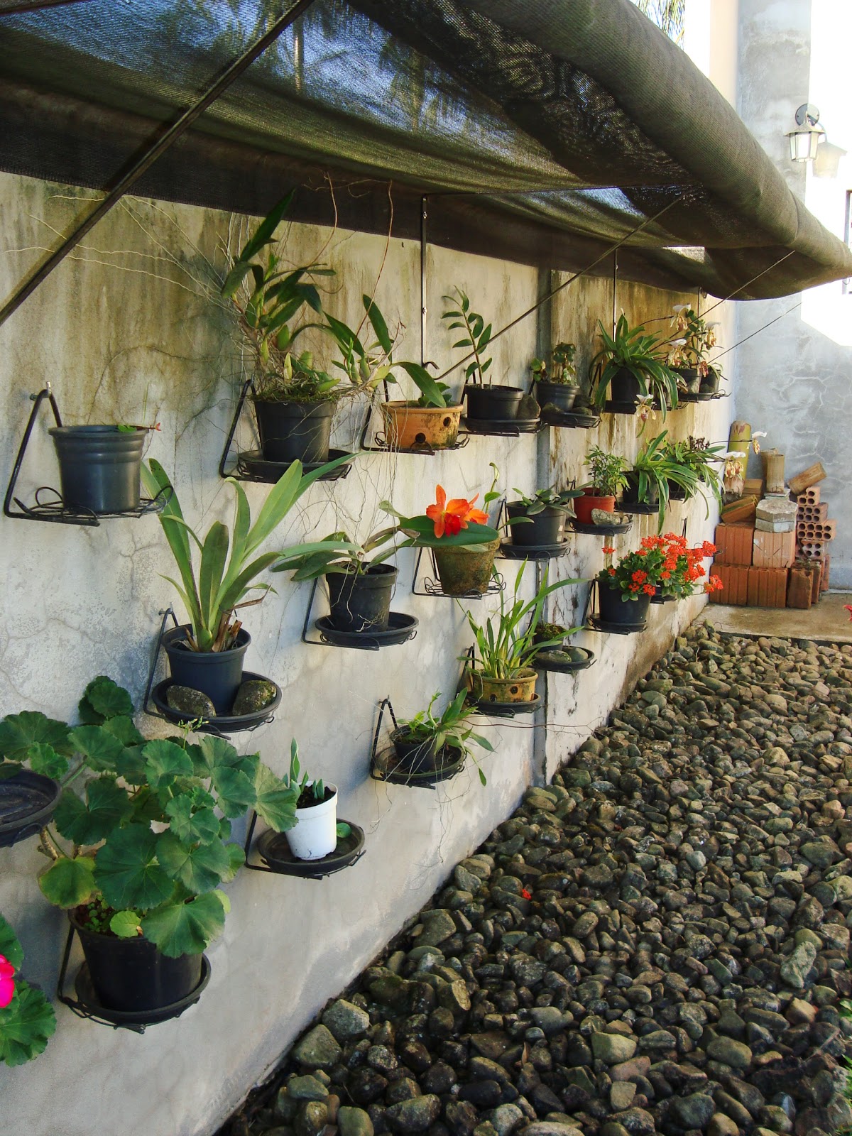 para quem tem pouco espaço ou quer cultivar alguns tipos de plantas para quem tem pouco espaço ou quer cultivar alguns tipos de plantas