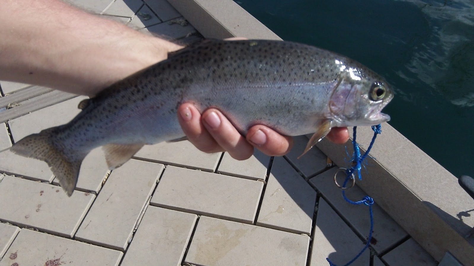 Idaho Fishing Adventures Quinn's pond trout fishing.