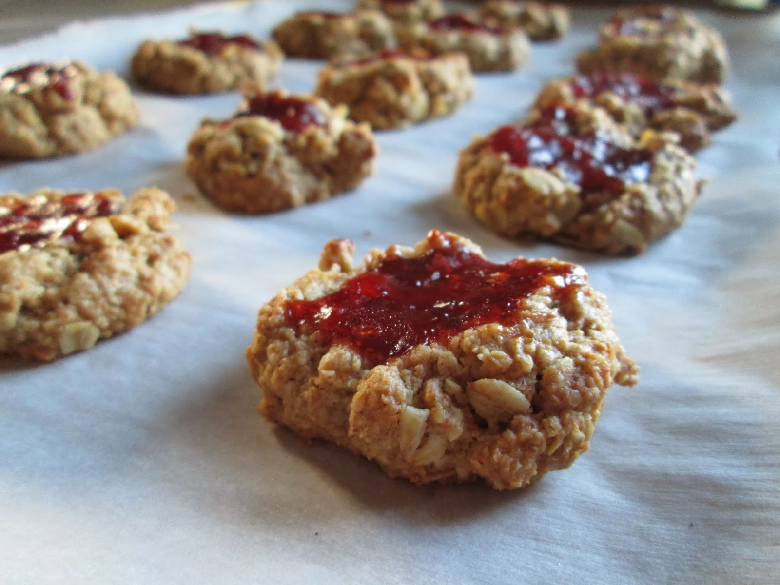 Hope For Healing Jelly Oat Cookies (gluten, dairy, and nutfree)