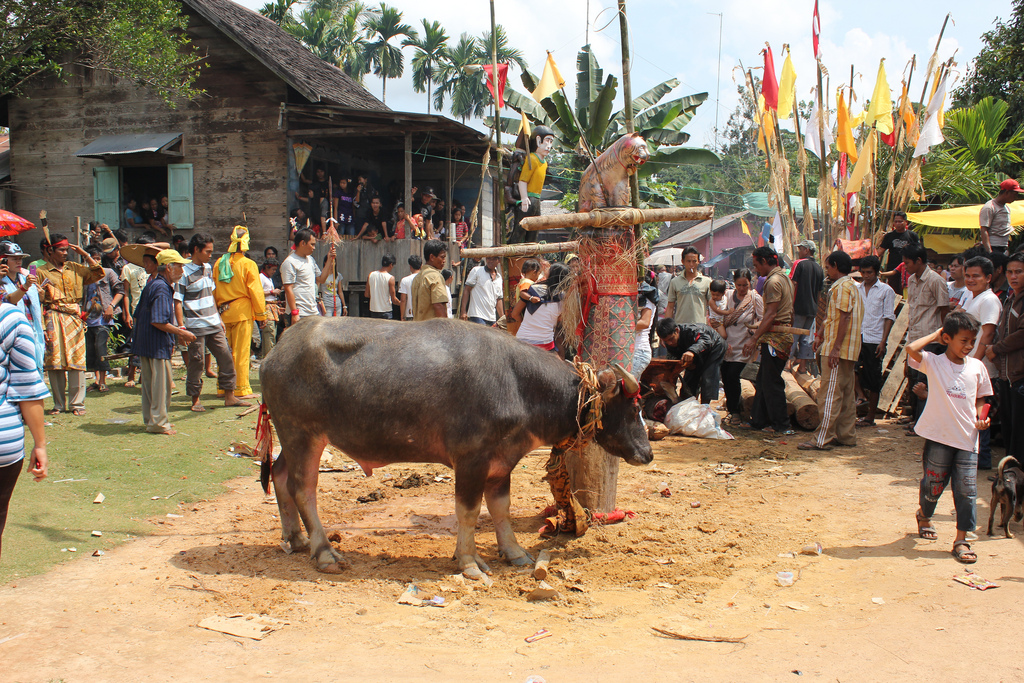 elfamelinda: Budaya, Makanan, Ciri Khas Kalimantan Tengah