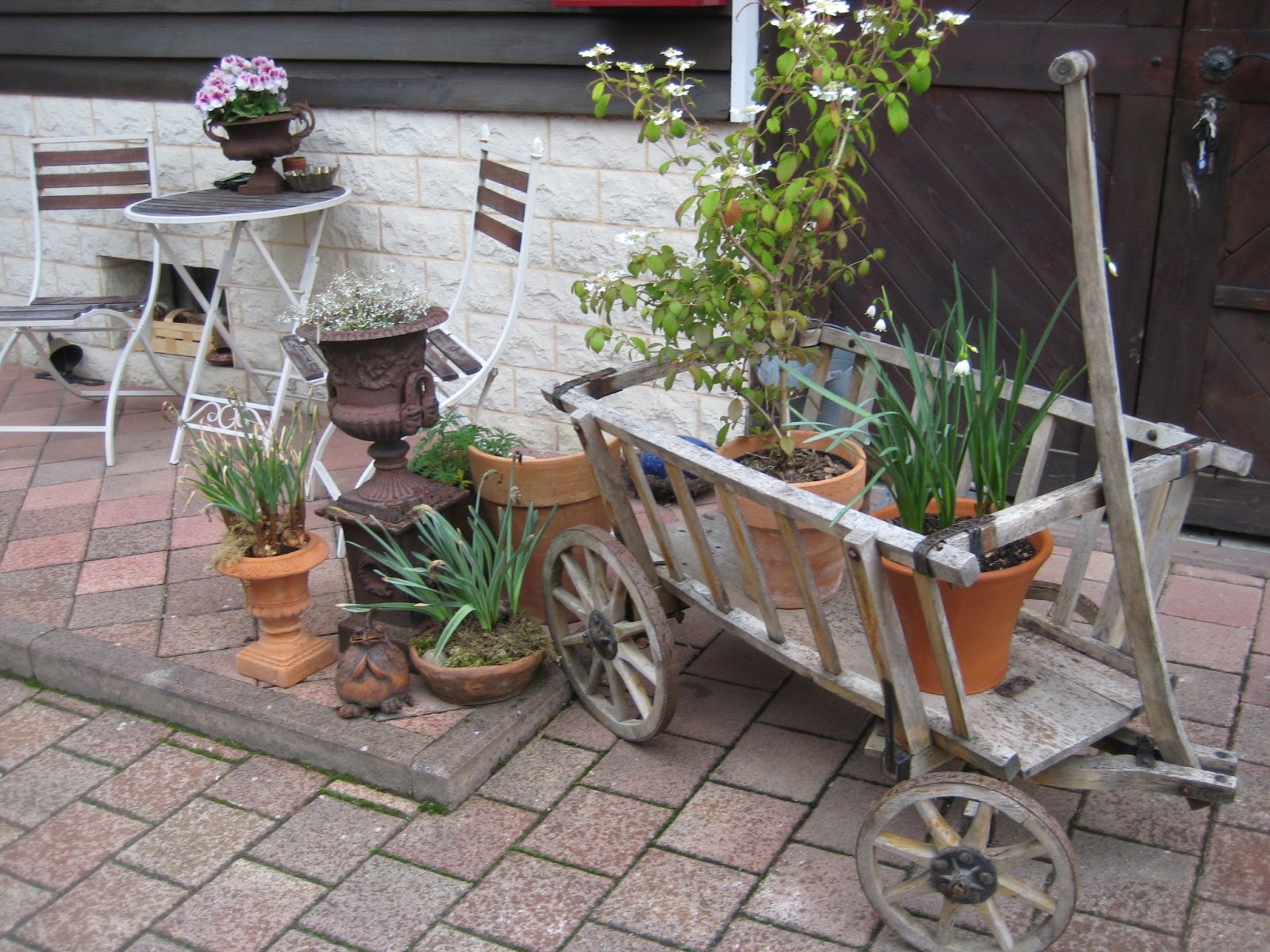 GartenImpressionen STELL DIR VOR, ES IST SCHON MAI