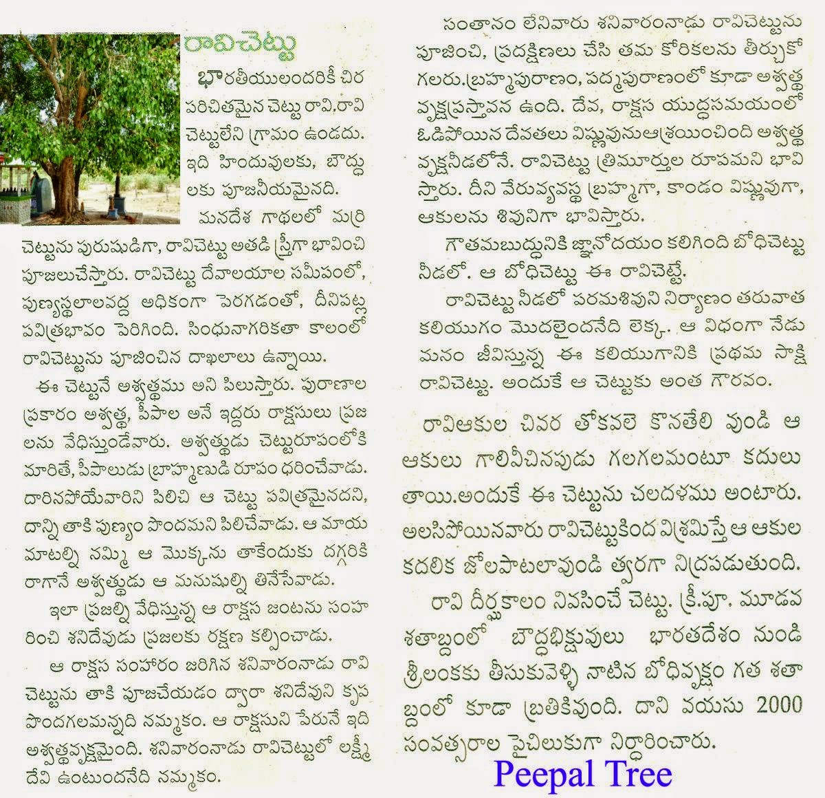 essay on autobiography of a banyan tree essay on autobiography of a banyan tree