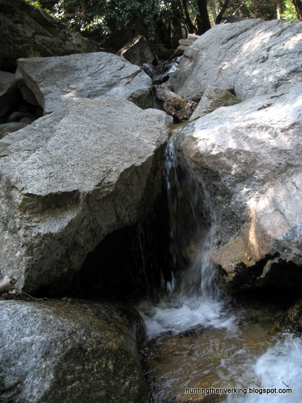 San Bernardino National Forest Rainbow Trout Creek Fishing Hunting