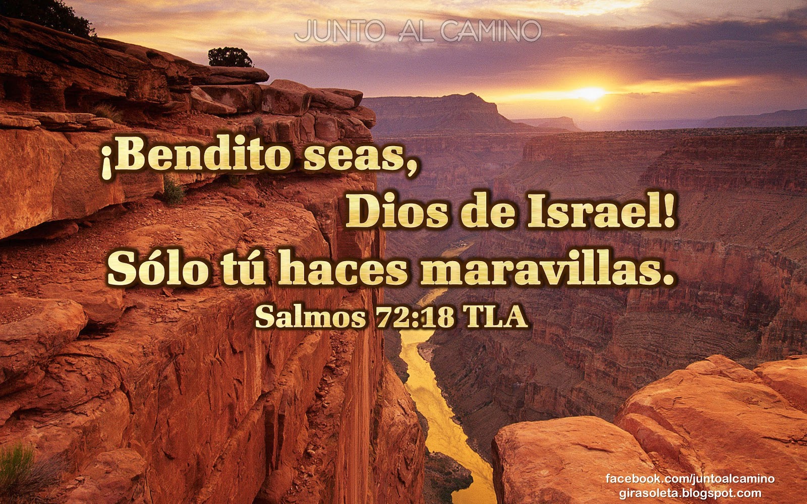 Junto al Camino IMÁGENES CON TEXTOS BÍBLICOS DE ALABANZA A DIOS