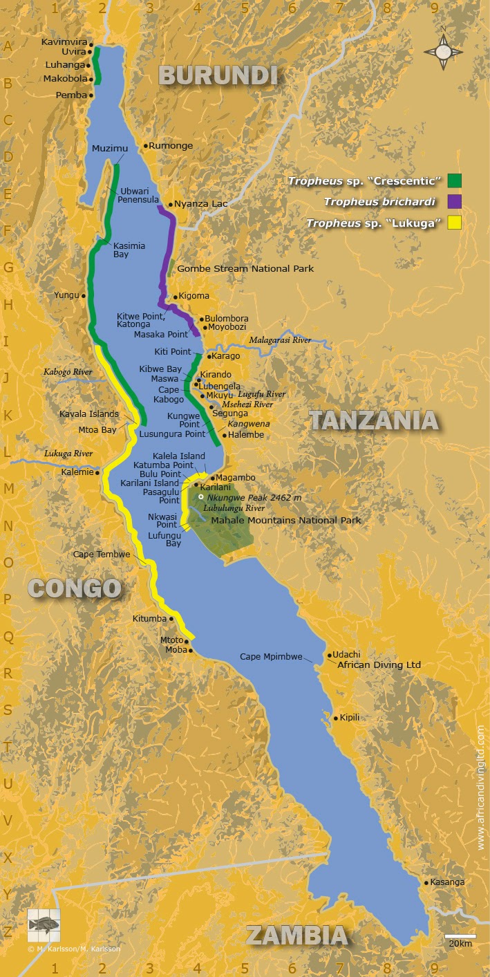 Lake Tanganyika On Africa Map Map Of The Catchment Of - vrogue.co