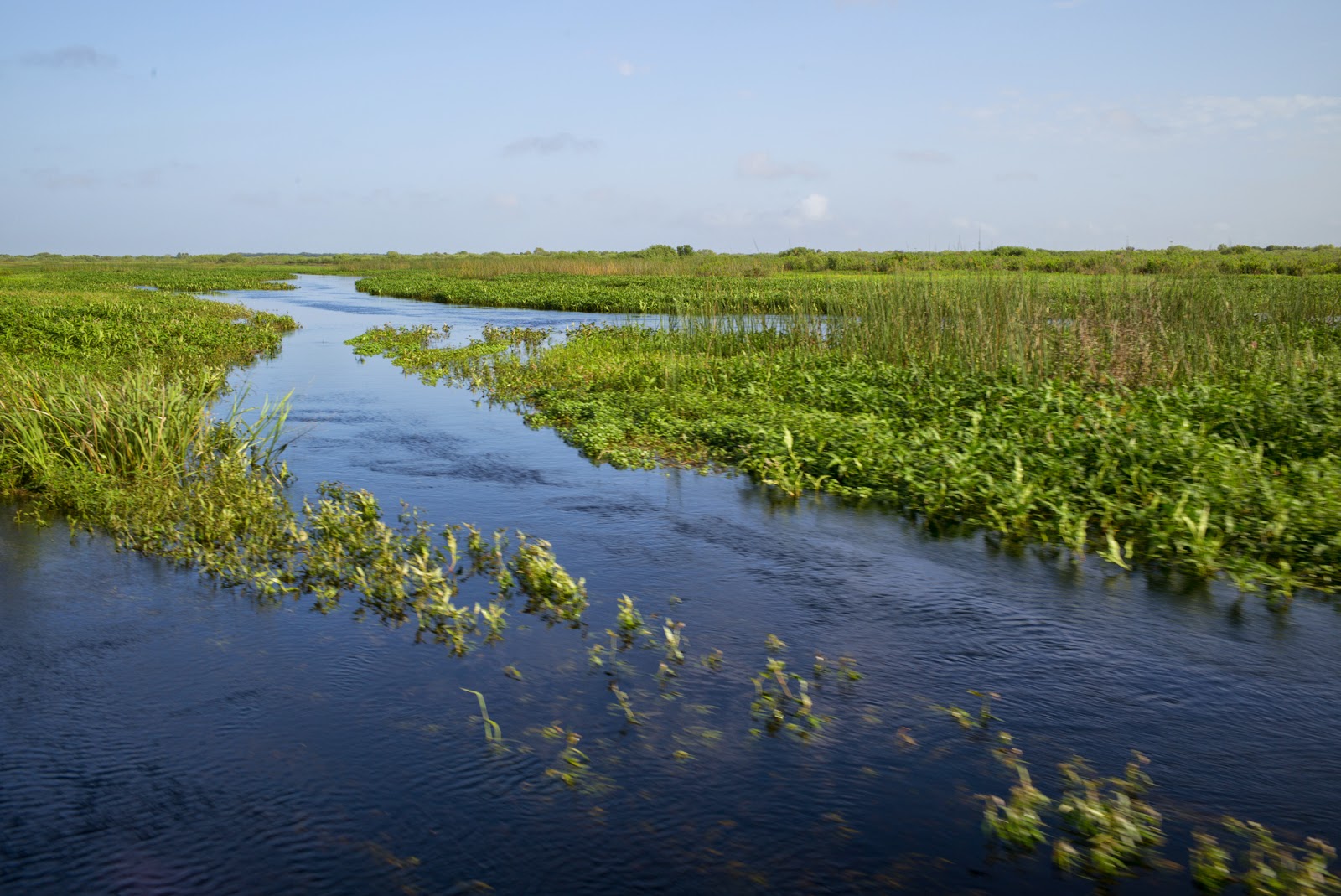 Water Log Kissimmee River, Florida, Straightened and Unstraightened