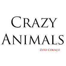 Blog Crazy Animals