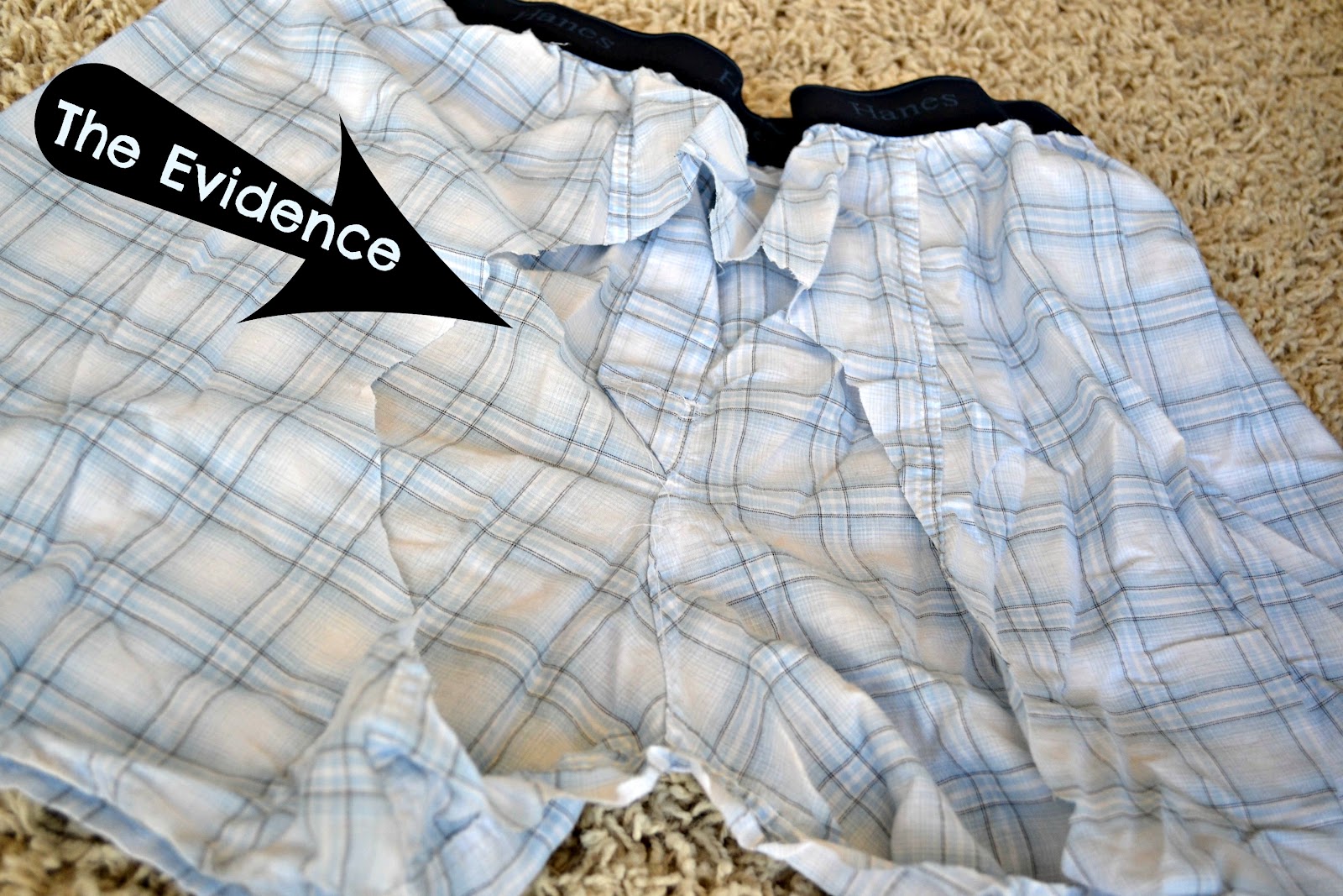 Salon Ablehnung dunkel why do boxers have a hole in them Messung