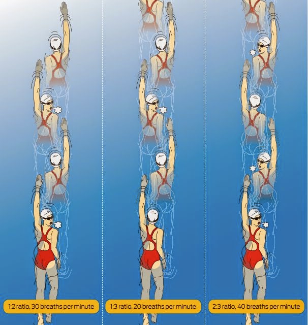 The Goal Is The Journey Is There Still A Bilateral Breathing