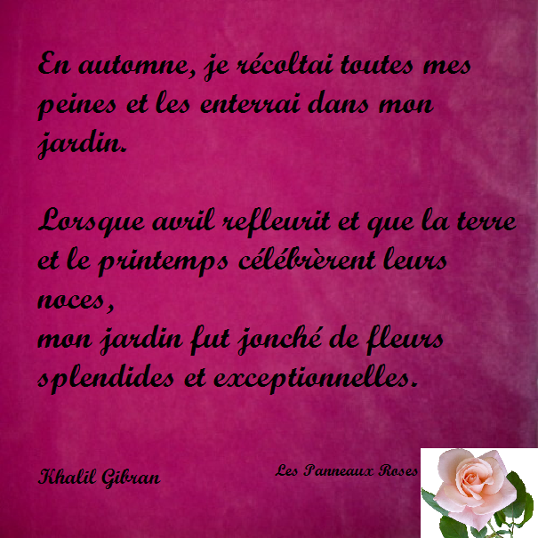 Les Panneaux Roses Citation Sur Le Renouveau De Khalil Gibran