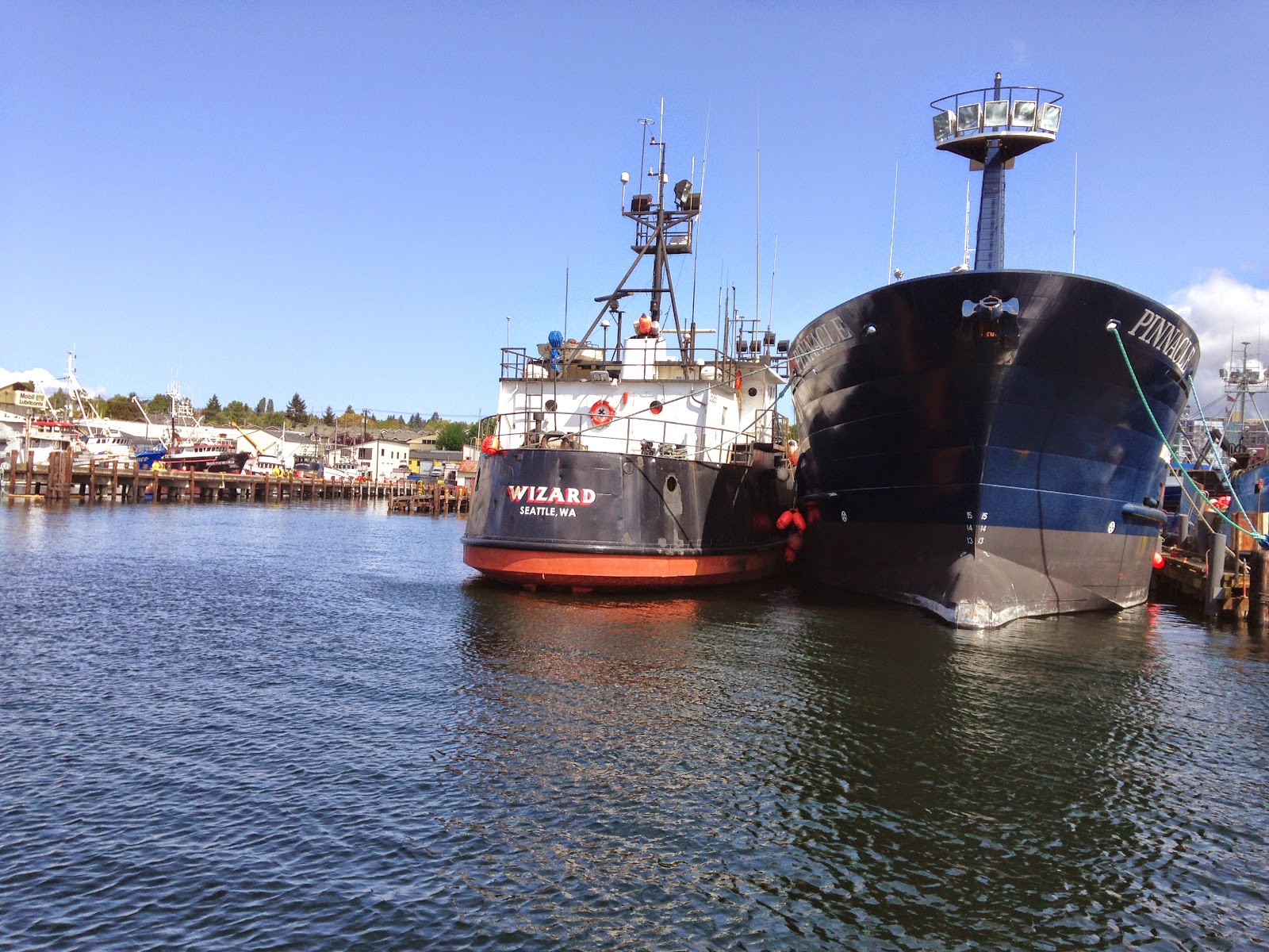 Two Many Adventures Off to the Races! (Tugboat races that is!)