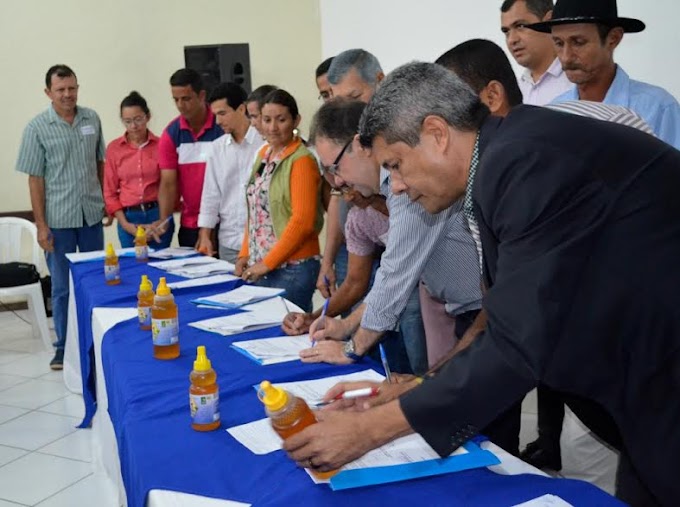 Trinta casas de mel serão construídas ainda neste ano