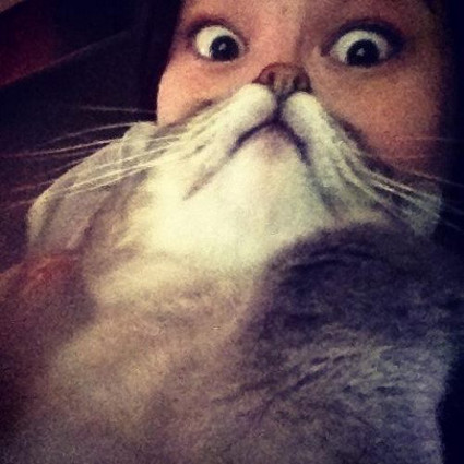 Cat+face+woman+-+optical+illusion.jpg