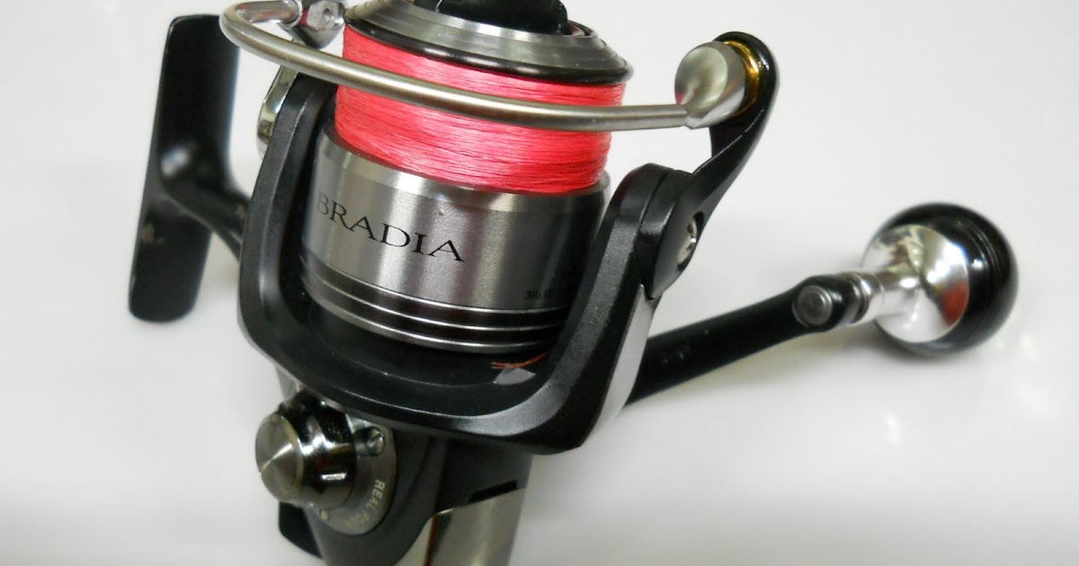 daiwa bradia