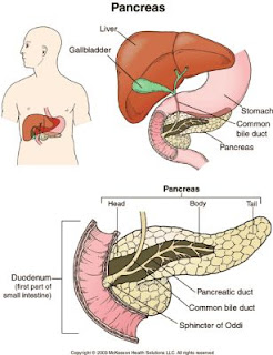 pancreatic cancers, pancreatic cancer survival, what is the treatment for pancreatic cancer, treatment of pancreatic cancer, treatment pancreatic cancer, pancreatic cancer treatment, treatment for pancreatic cancer, survival rate of pancreatic cancer, survival rate pancreatic cancer, survival rate for pancreatic cancer, pancreatic cancer survival rate, pancreas cancer survival rate, survival rates pancreatic cancer, survival rates of pancreatic cancer, survival rates for pancreatic cancer, pancreatic cancer survival rates, causes for pancreatic cancer, what are the causes of pancreatic cancer, causes of pancreatic cancer, pancreatic cancer causes of, pancreatic cancer causes, what causes pancreatic cancer, causes pancreatic cancer, pancreatic cancer cause, the cause of pancreatic cancer, what cause pancreatic cancer, cause pancreatic cancer, cause of pancreatic cancer, stage 4 pancreatic cancer, pancreatic cancer stage 4, prognosis for pancreatic cancer, prognosis of pancreatic cancer, pancreatic cancer prognosis, prognosis pancreatic cancer, what is the prognosis of pancreatic cancer