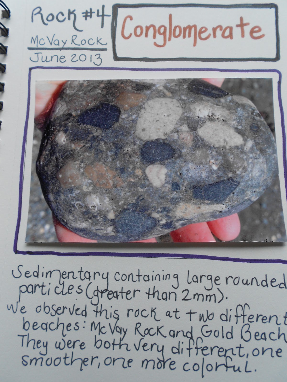 Conglomerate Rock Nature Study – Rock Update #4