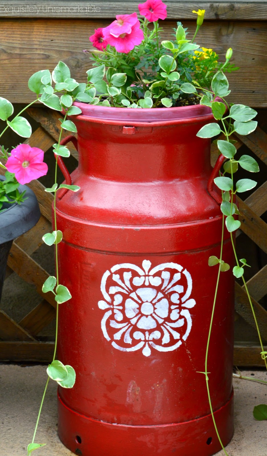 Painted Milk Can Planter Exquisitely Unremarkable
