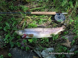 AdirondackTrout.com