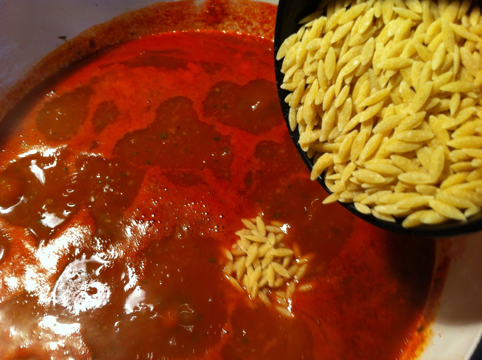 Skinny Simple Recipes Ground Beef, Orzo Soup