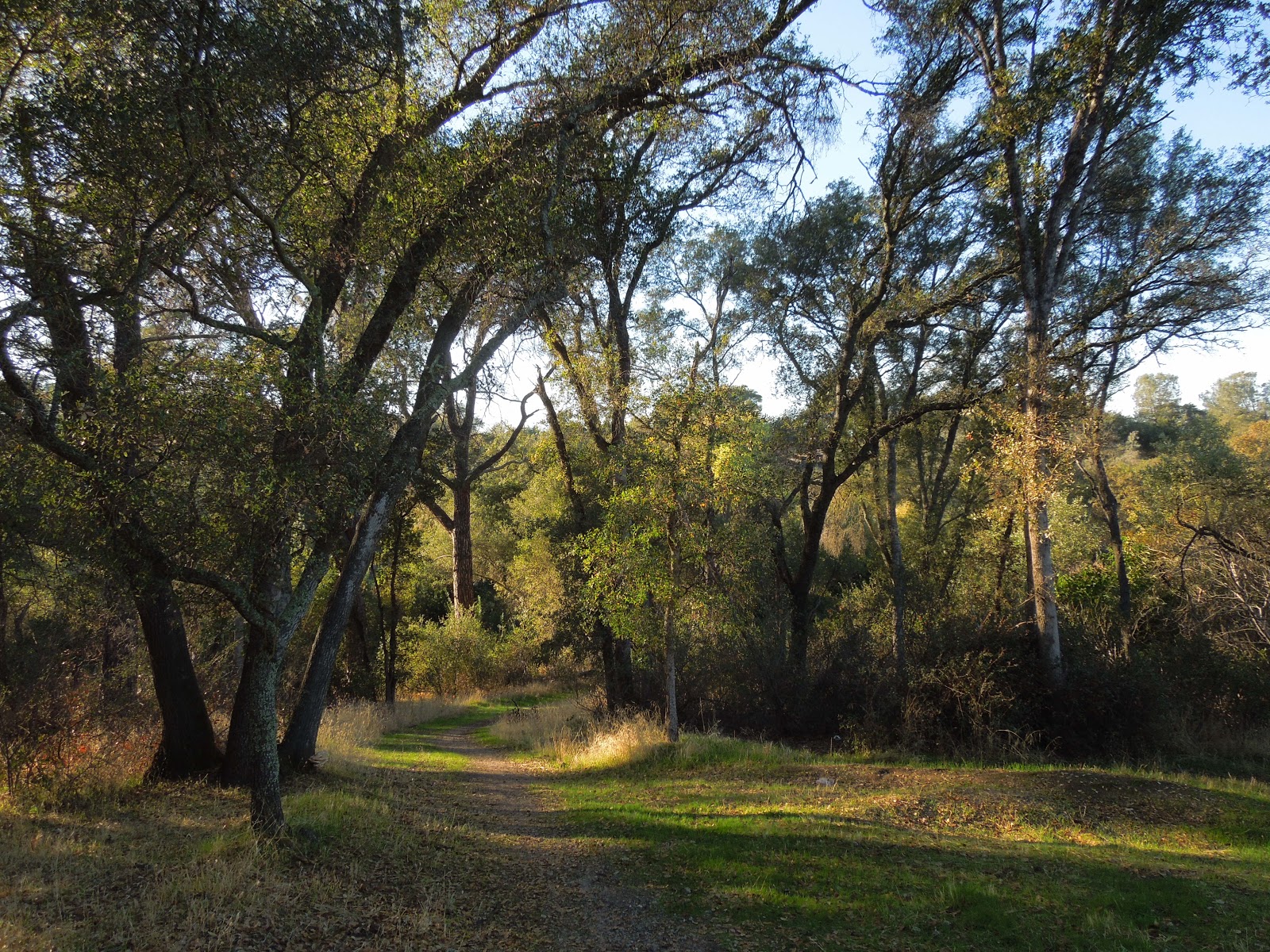 Peachy Hiker Miners Ravine near Roseville, CA