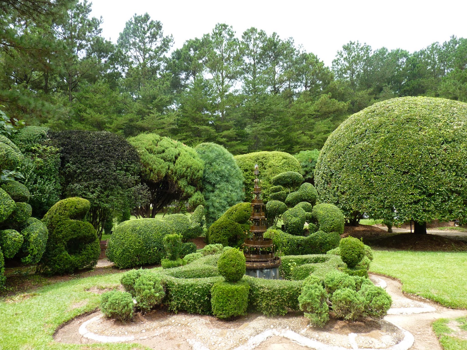the unpaved road pearl fryar s topiary garden the unpaved road pearl fryar s topiary garden