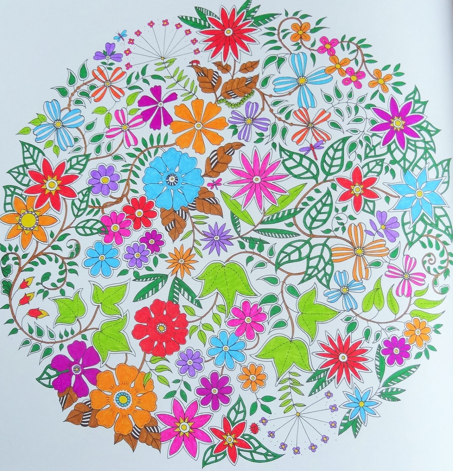 Livre De Coloriage Jardin Secret