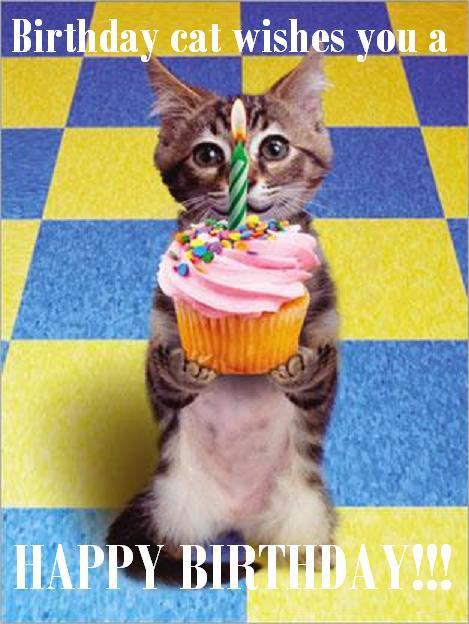 Photography: LOLCats - Birthday Cat Wishes You A Happy Birthday!!!!!