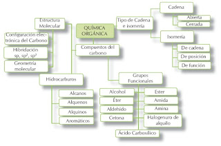 cadenas carbonadas homogeneas y heterogeneas qu 237 mica org 225 nica mapa conceptual sobre qu 237 mica org 225 nica cadenas carbonadas homogeneas y heterogeneas qu 237 mica org 225 nica mapa conceptual sobre qu 237 mica org 225 nica