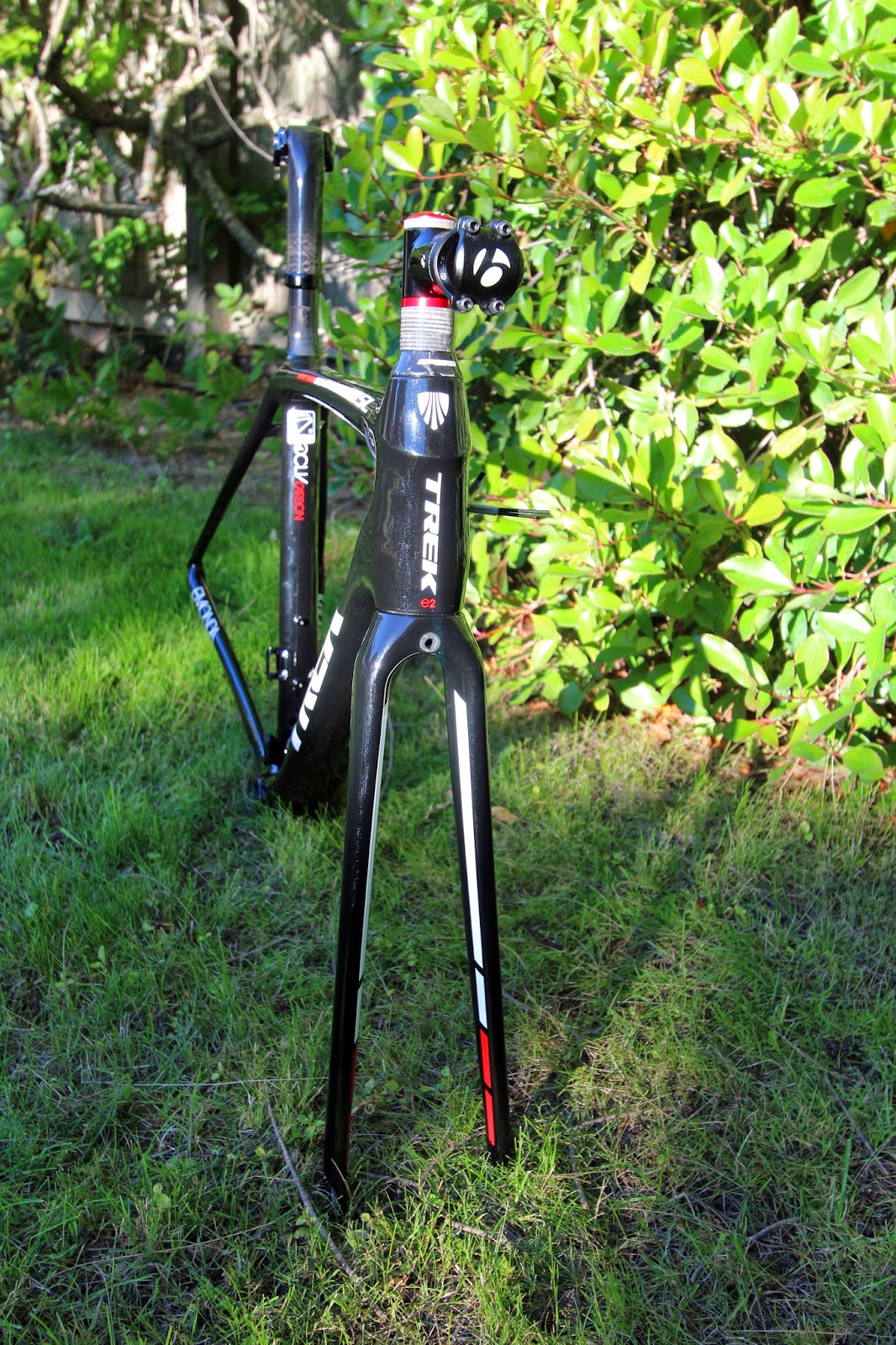 continental race king 2.0 26