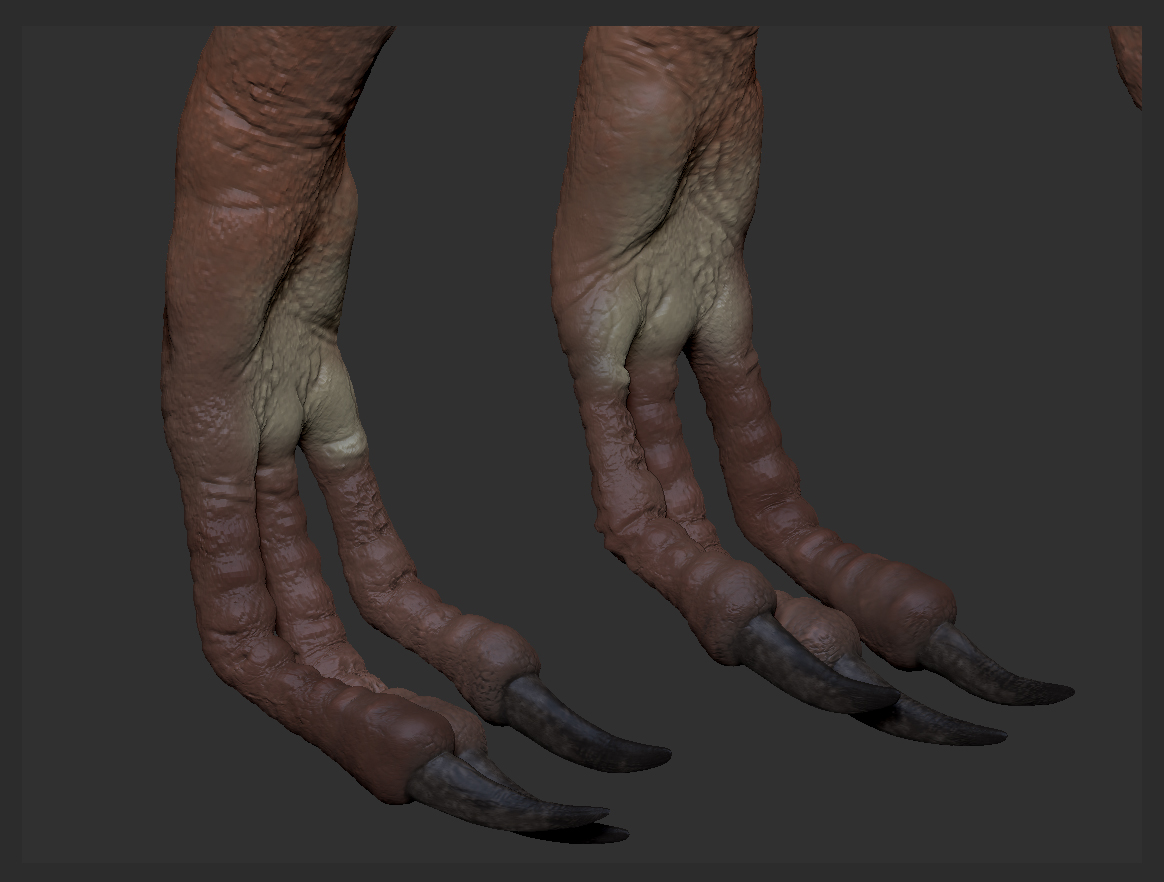 RaptorZB_02.jpg