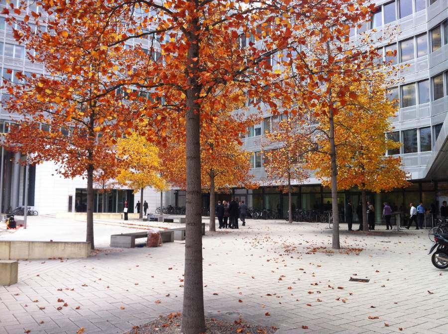 Licht Im Kuddelmuddel Der Blog Zum Deutschlernen 2012