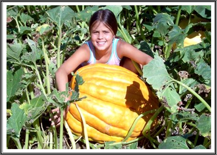 Historias y leyendas El Valle de las siete luminarias en México.
