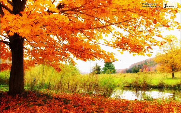 Colorful Scenery Beautiful Nature Images in HD