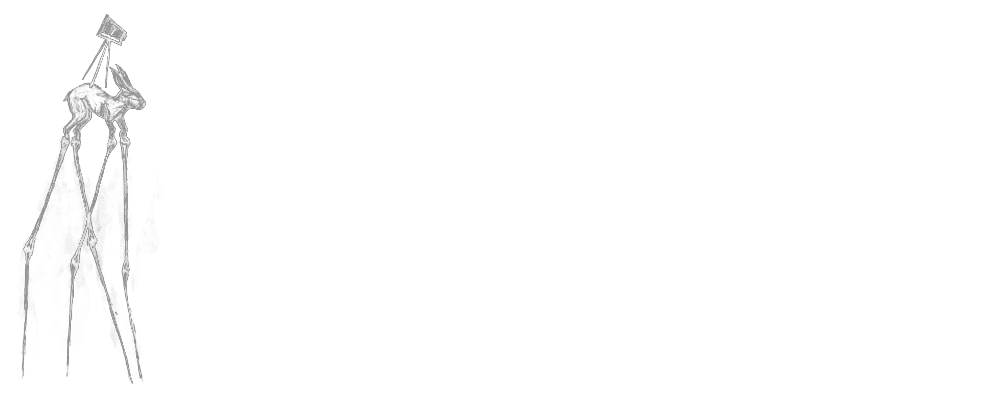 The White Hare