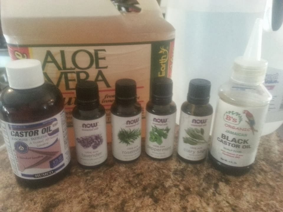 Naturally Frugal Beauty Loc D Natural Hair Daily Moisture Spritz