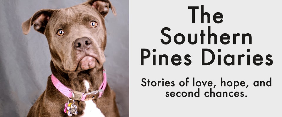 Southern Pines Diaries