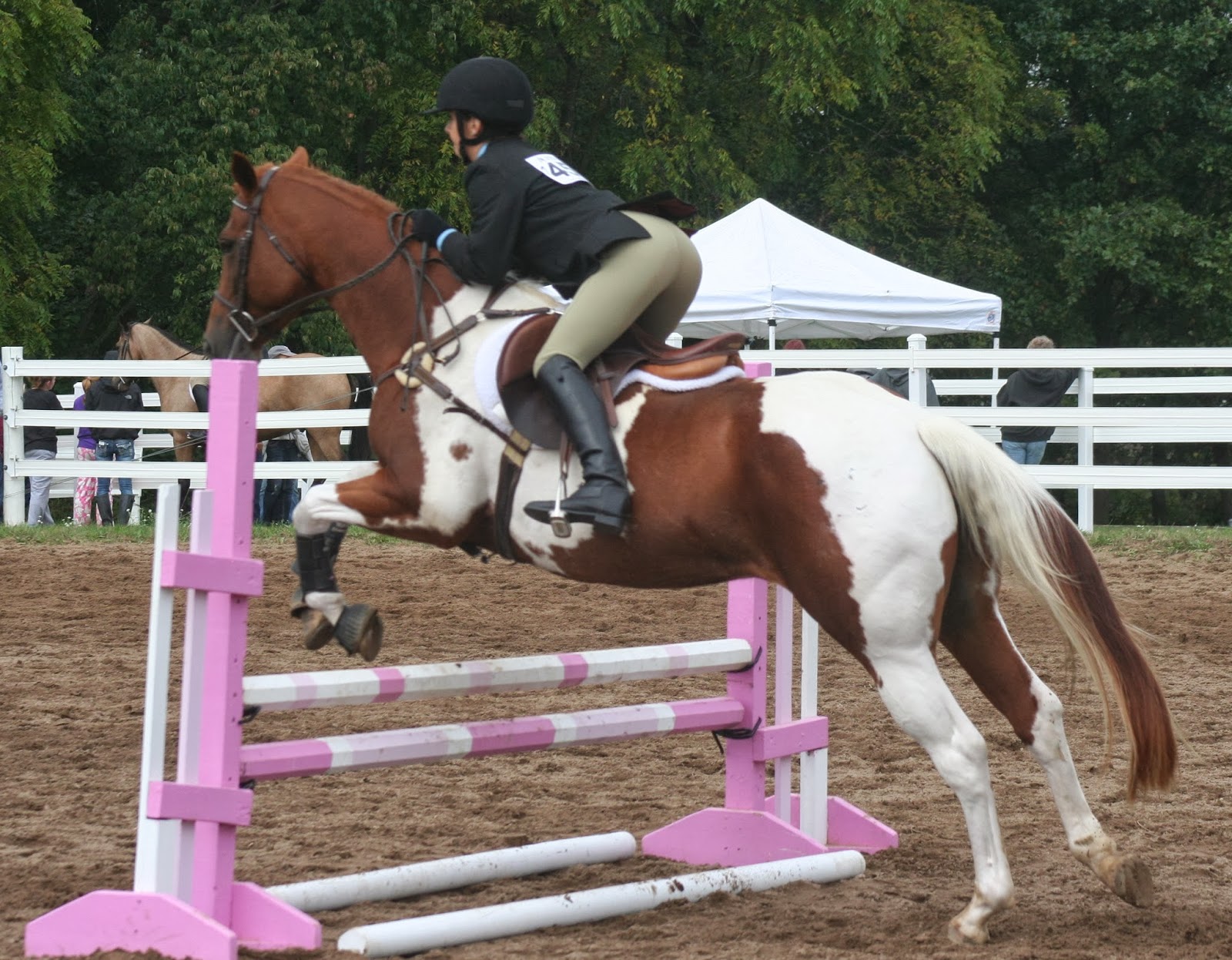 Equestrian Activities in the Milford, MI Area