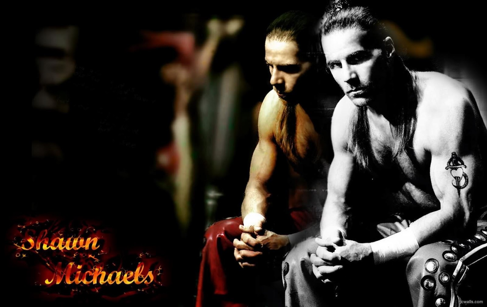 All Wallpapers: WWE Shawn Michael hd New Nice Wallpapers 2013