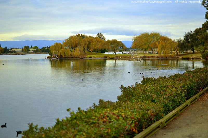 Fun Clicks Shoreline Lake, Mountain View