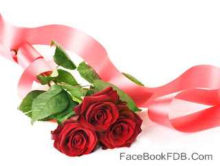 Feliz San Valentín imagenes con rosas Feliz San Valentín imagenes con frases