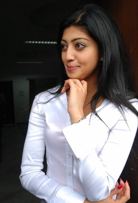 praneetha the girl in white shirtjeans hot photoshoot
