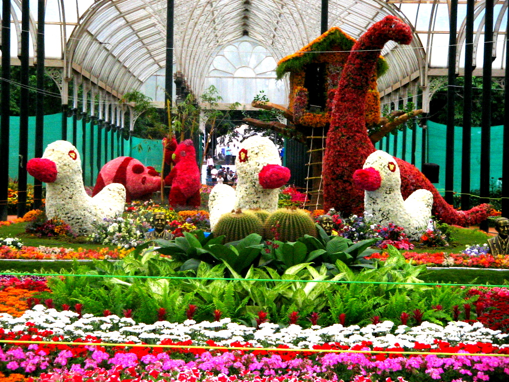 My world!! Flower Show 2012 Pictures Lalbagh Botanical Garden, Bangalore
